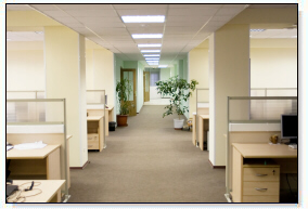 Carpet Cleaning Powder Springs